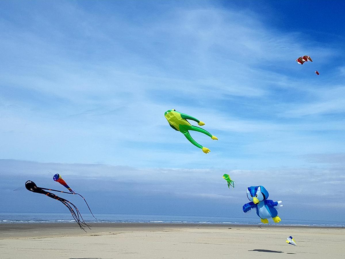 Les Coquillages, 2 Salles De Bains, Tout A Pied Berck Zewnętrze zdjęcie