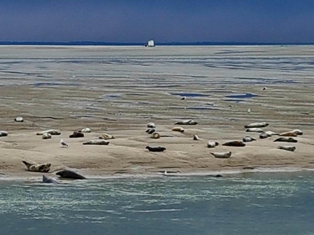 Les Coquillages, 2 Salles De Bains, Tout A Pied Berck Zewnętrze zdjęcie